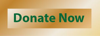 Development-Donatebutton